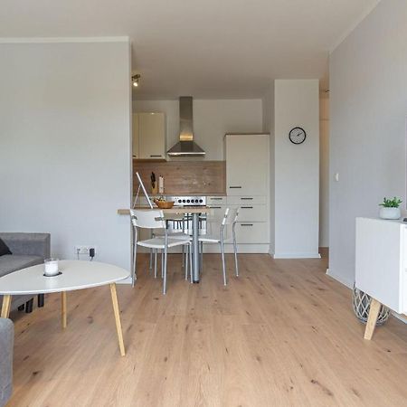 Central Apartment, 55M2, Kitchen, Washer, Netflix, Parking Cottbus Buitenkant foto